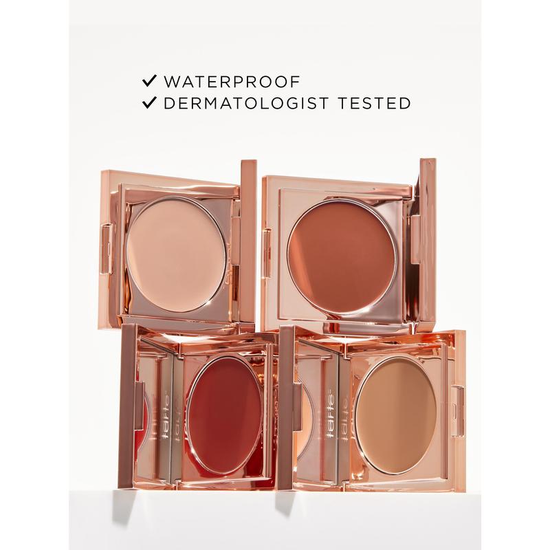 colored clay CC undereye corrector & concealer paw brush—LYH