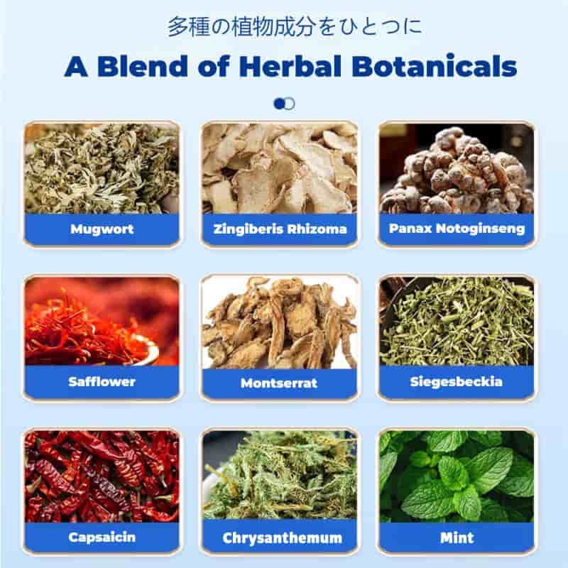 Back Pain Patch Natural Pain Relief Patches for Knee Neck Shoulder and Joint Pain Muscle Soreness Arthritis Relief