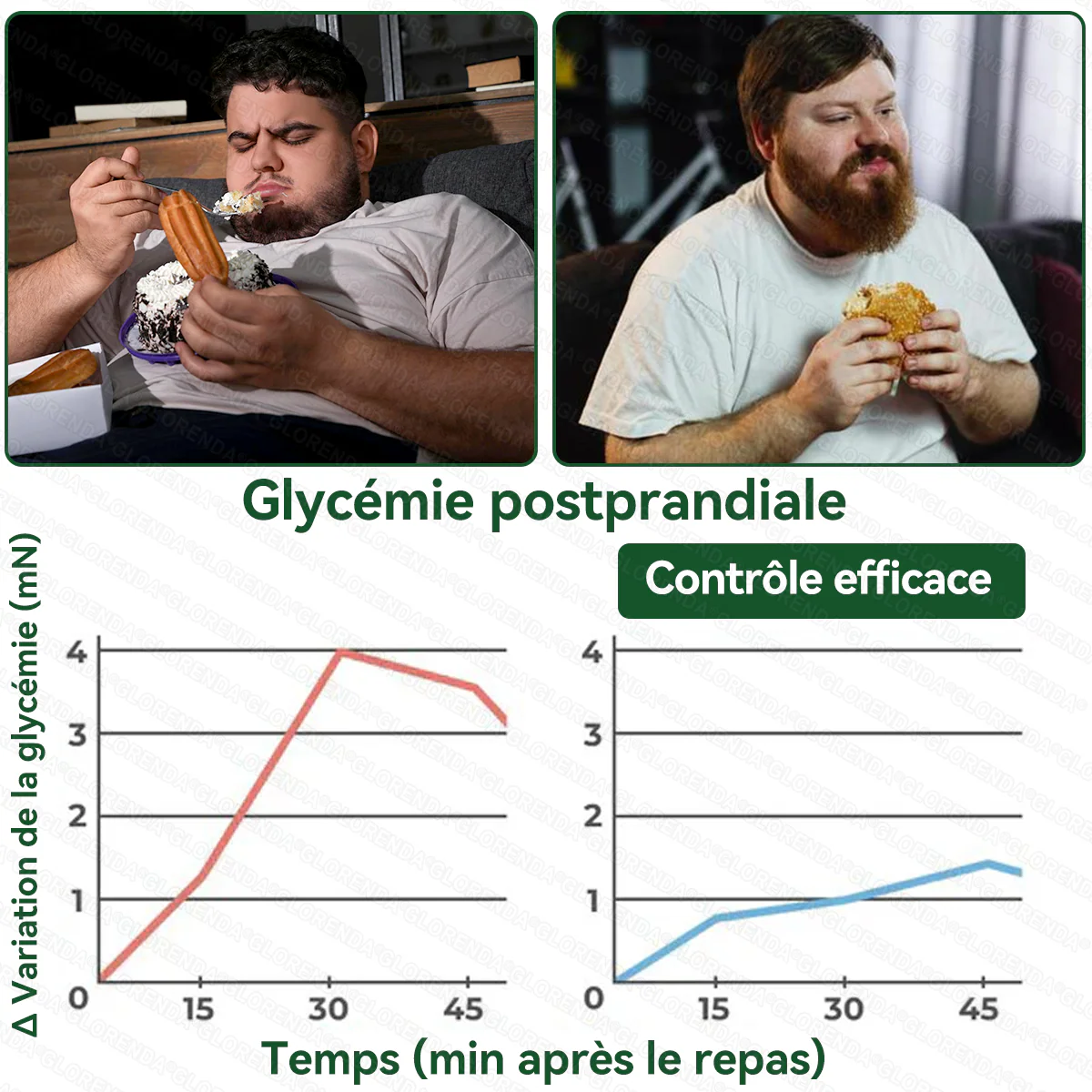 Patch Microneedle Avancé Amelovi® Moringa- Berberine- NAD+ 10 en 1 Nano 🇫🇷