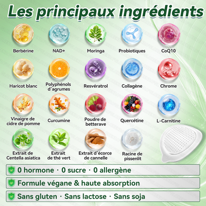 Patch Microneedle Avancé Amelovi® Moringa- Berberine- NAD+ 10 en 1 Nano 🇫🇷