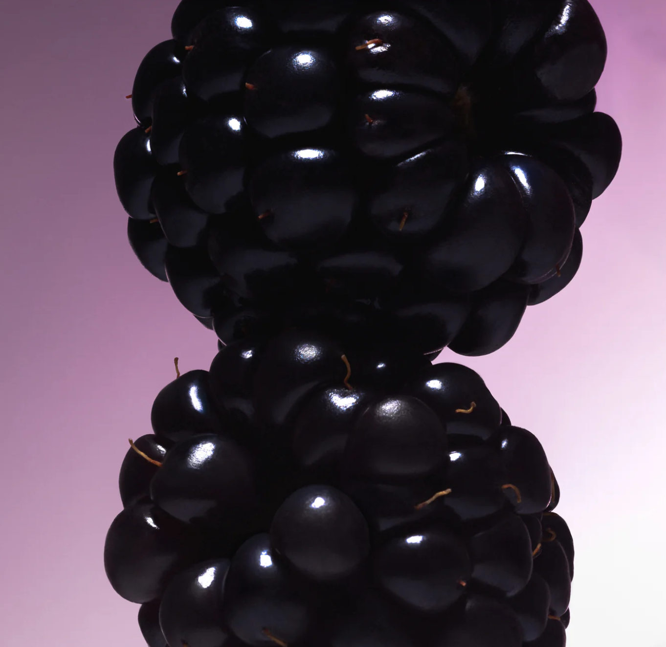 Vanilla & Cream Duo - Body Mists-xdx