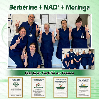 Patch Microneedle Avancé Amelovi® Moringa- Berberine- NAD+ 10 en 1 Nano 🇫🇷