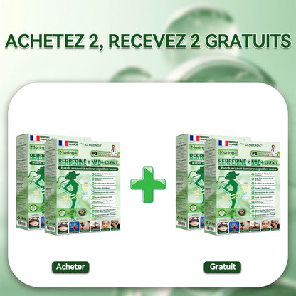 Patch Microneedle Avancé Amelovi® Moringa- Berberine- NAD+ 10 en 1 Nano 🇫🇷