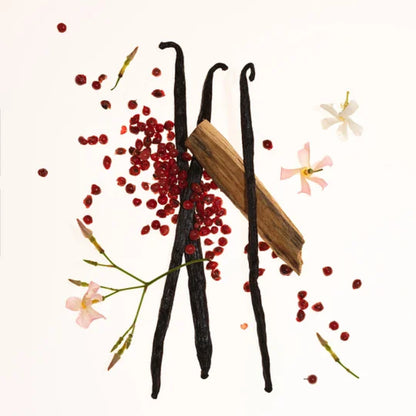 Vanilla & Cream Duo - Body Mists-xdx