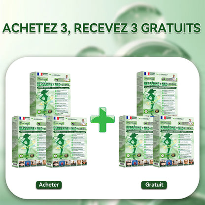 Patch Microneedle Avancé Amelovi® Moringa- Berberine- NAD+ 10 en 1 Nano 🇫🇷