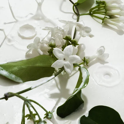 Vanilla & Cream Duo - Body Mists-xdx