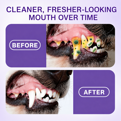 No-Brushing Pet Oral  Spray for Dogs & Cats🐾